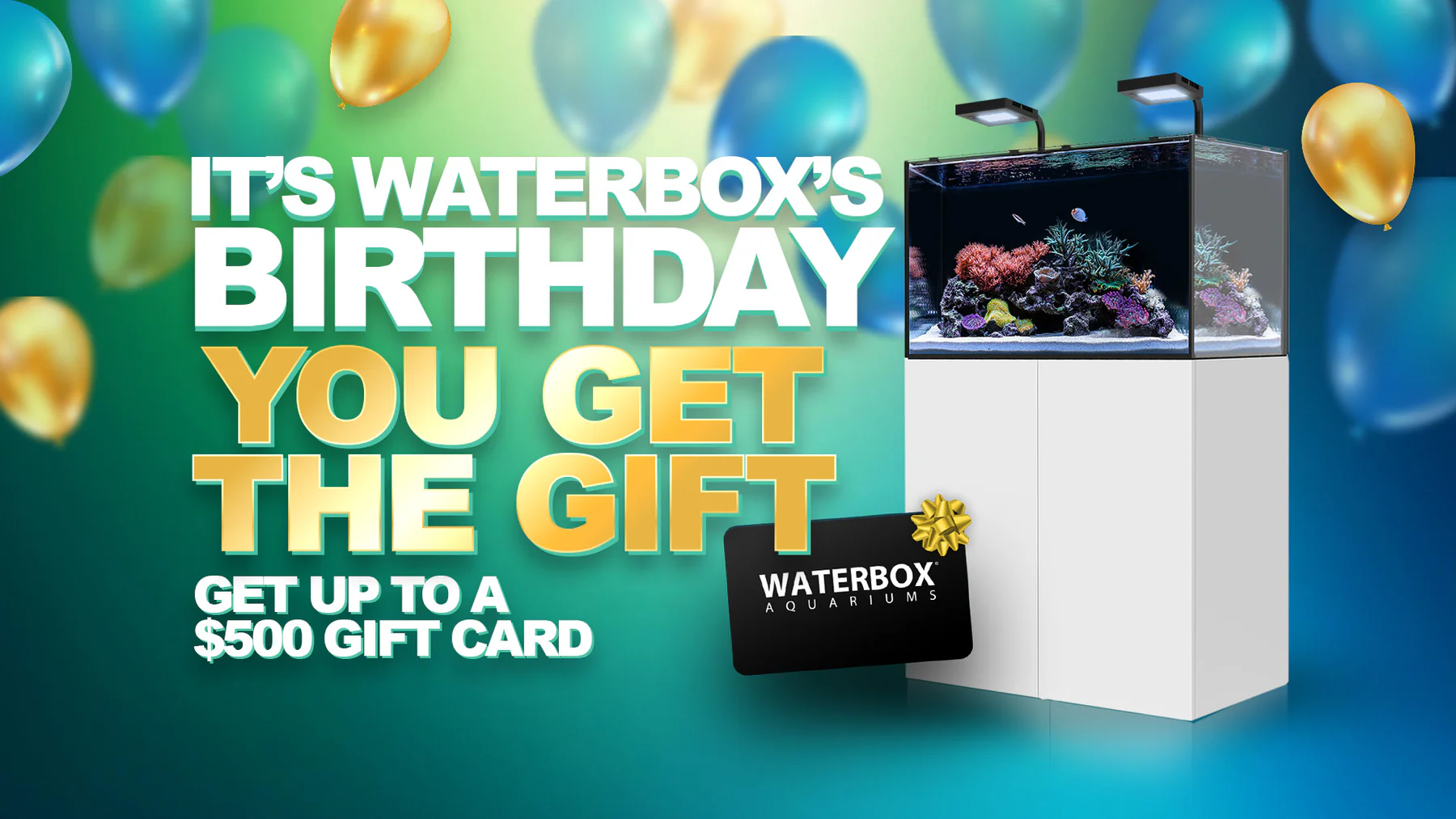 Elevate Your Space with Waterbox